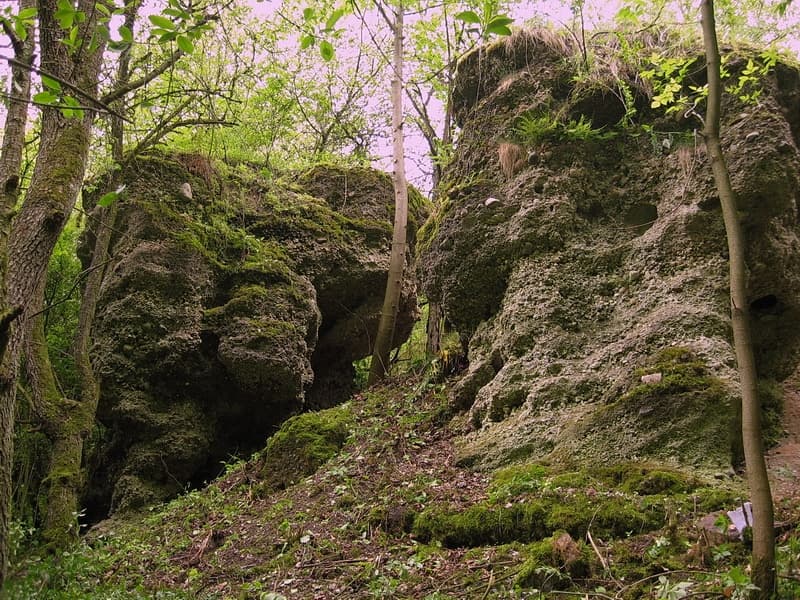 Prigodichi. Kolodezhny rov (moat). Prineman Conglomerate.