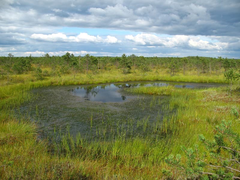 Republican hydrological reserve "Duleba Islands".