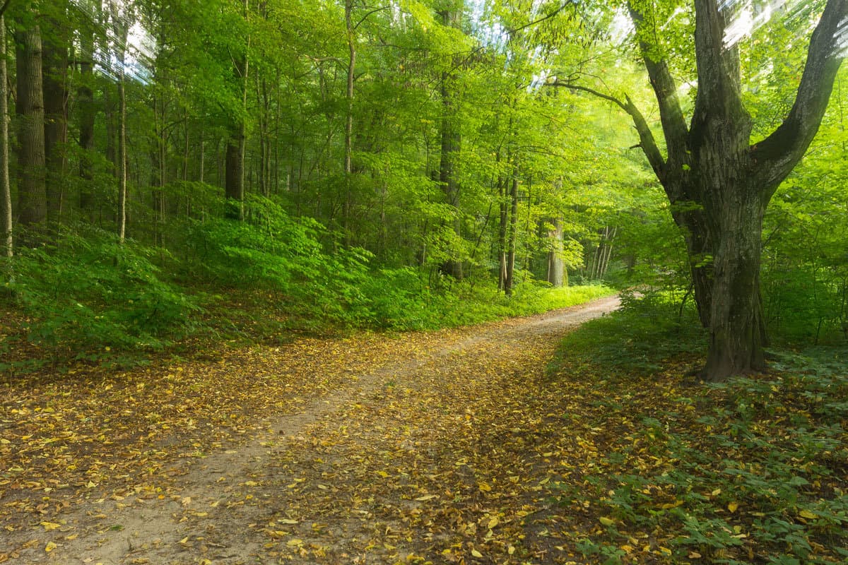 Гродна. Парк Румлёва.