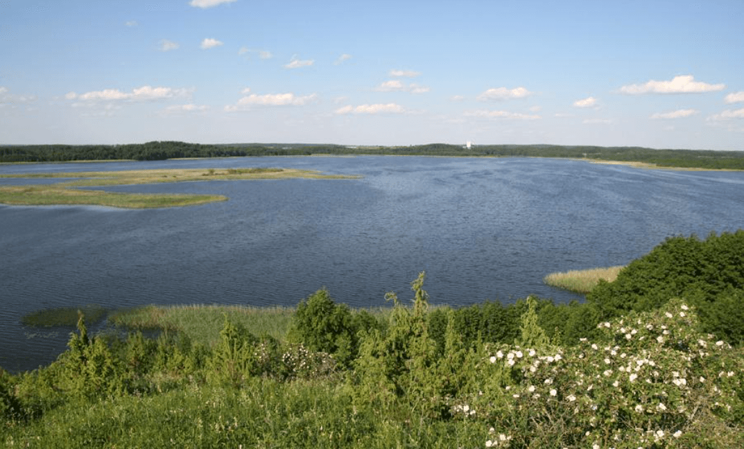 Маскавічы. Гарадзішча.