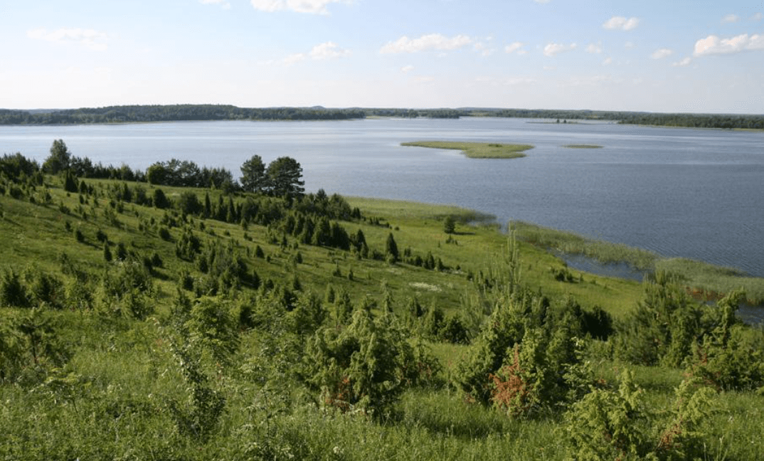 Маскавічы. Гарадзішча.