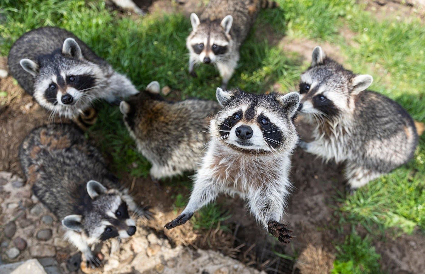 Баранавічы. Заапарк «Дыпрыз».