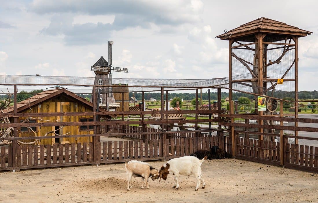 Баранавічы. Заапарк «Дыпрыз».