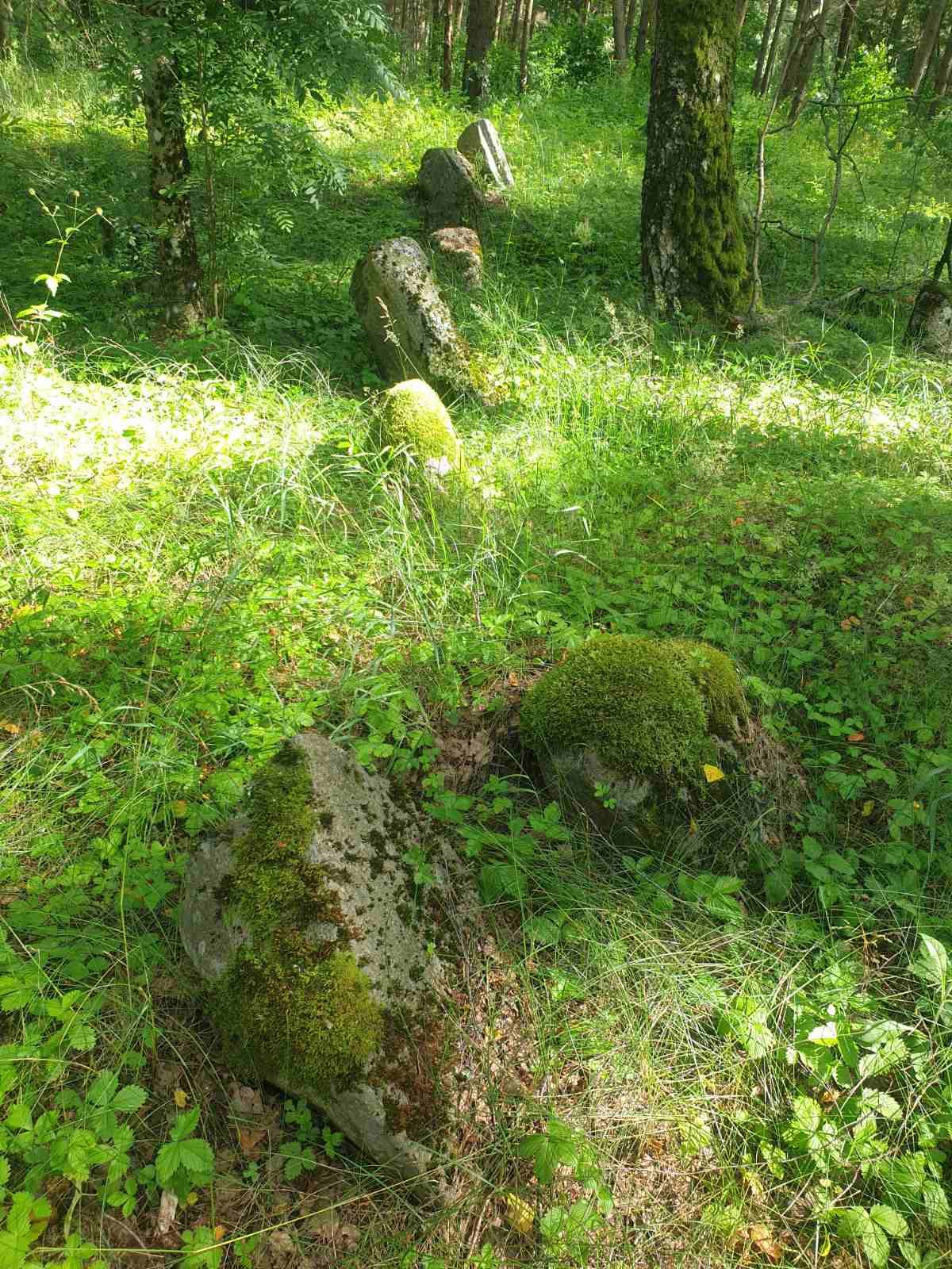 Рясно. Еврейское кладбище