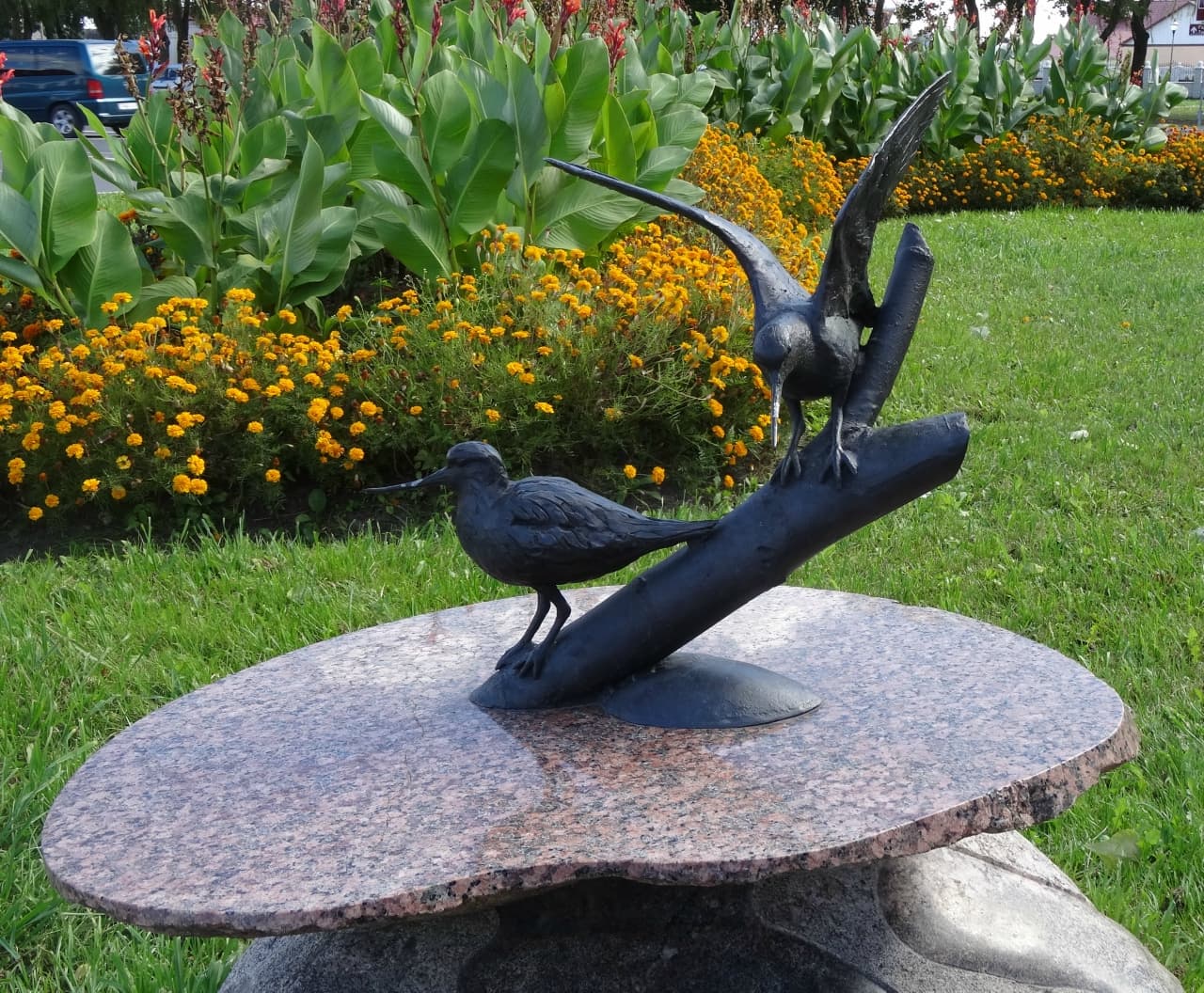 Turov. Monument to the waders.