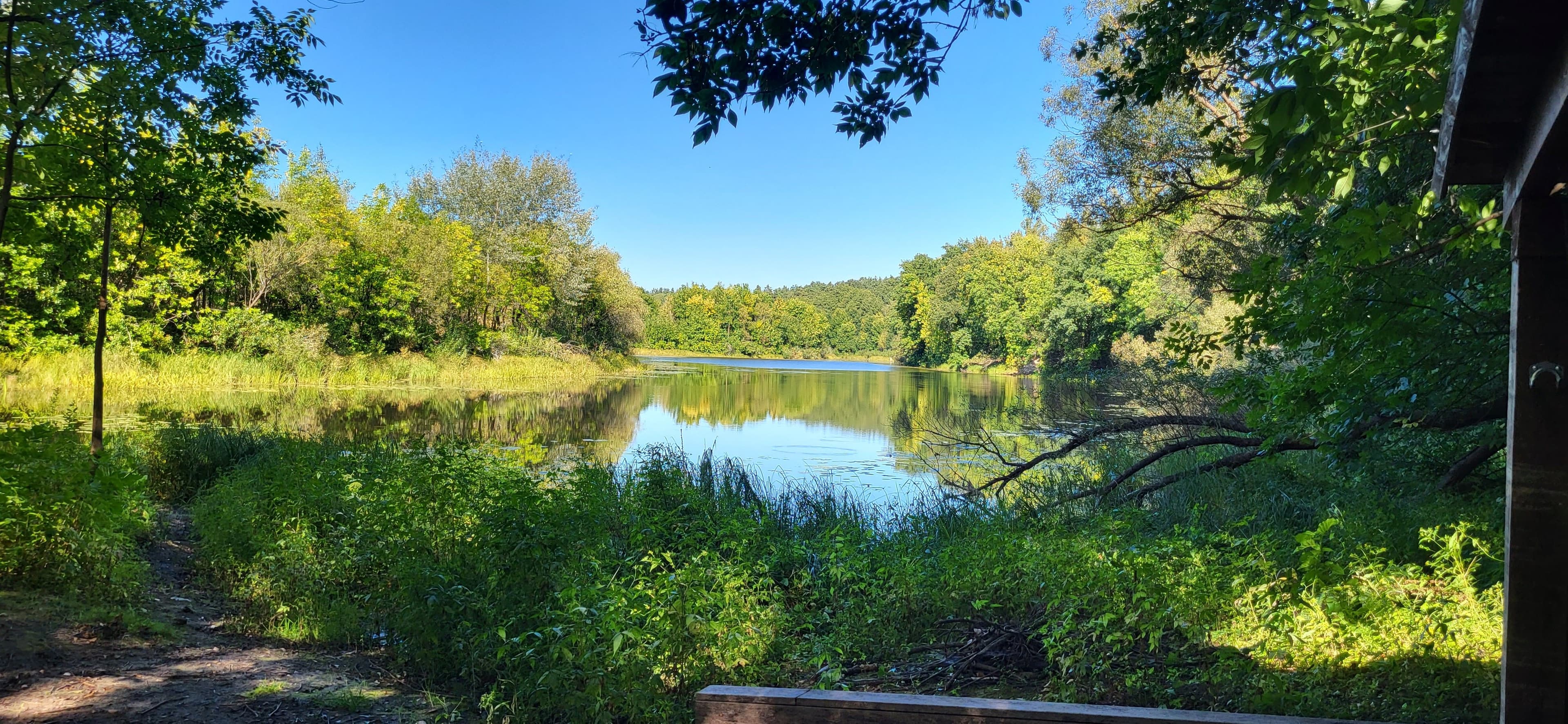 Кленки. Родник Явицкий.