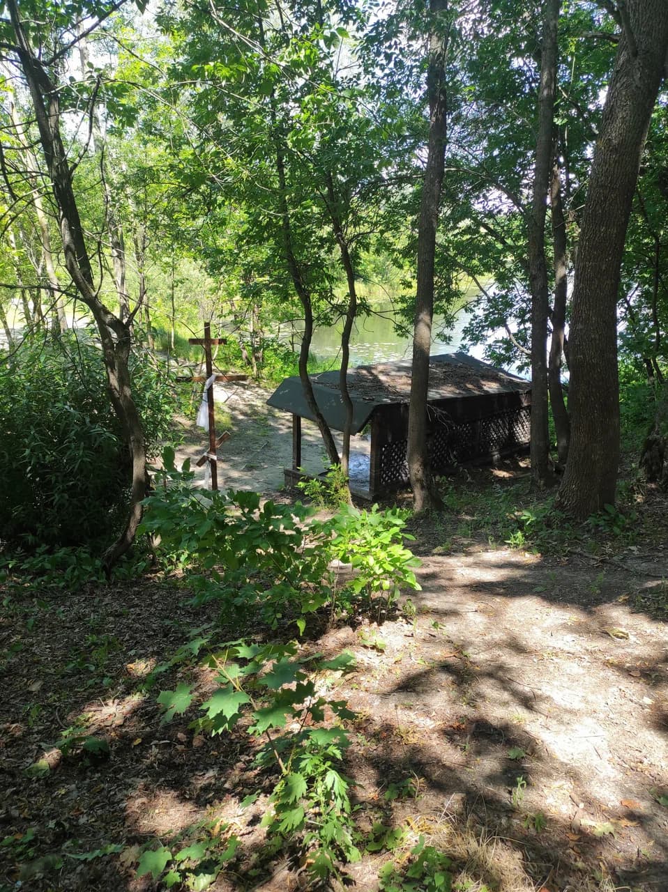 Кленки. Родник Явицкий.