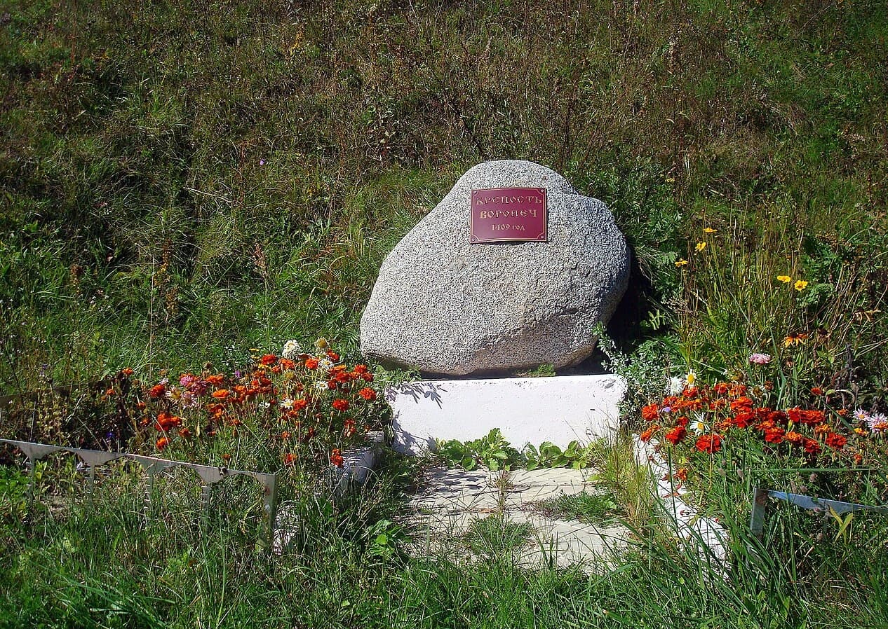 Вороничи. Замчище.