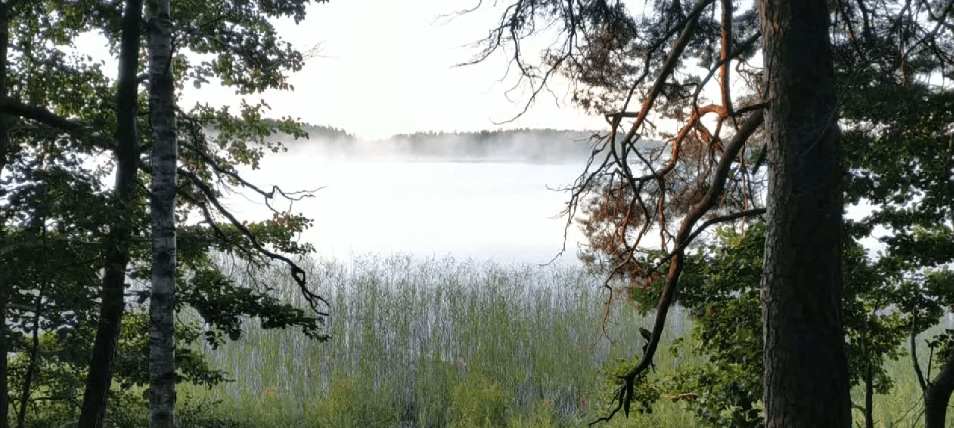 Polotsk district. Vedeto Lake.