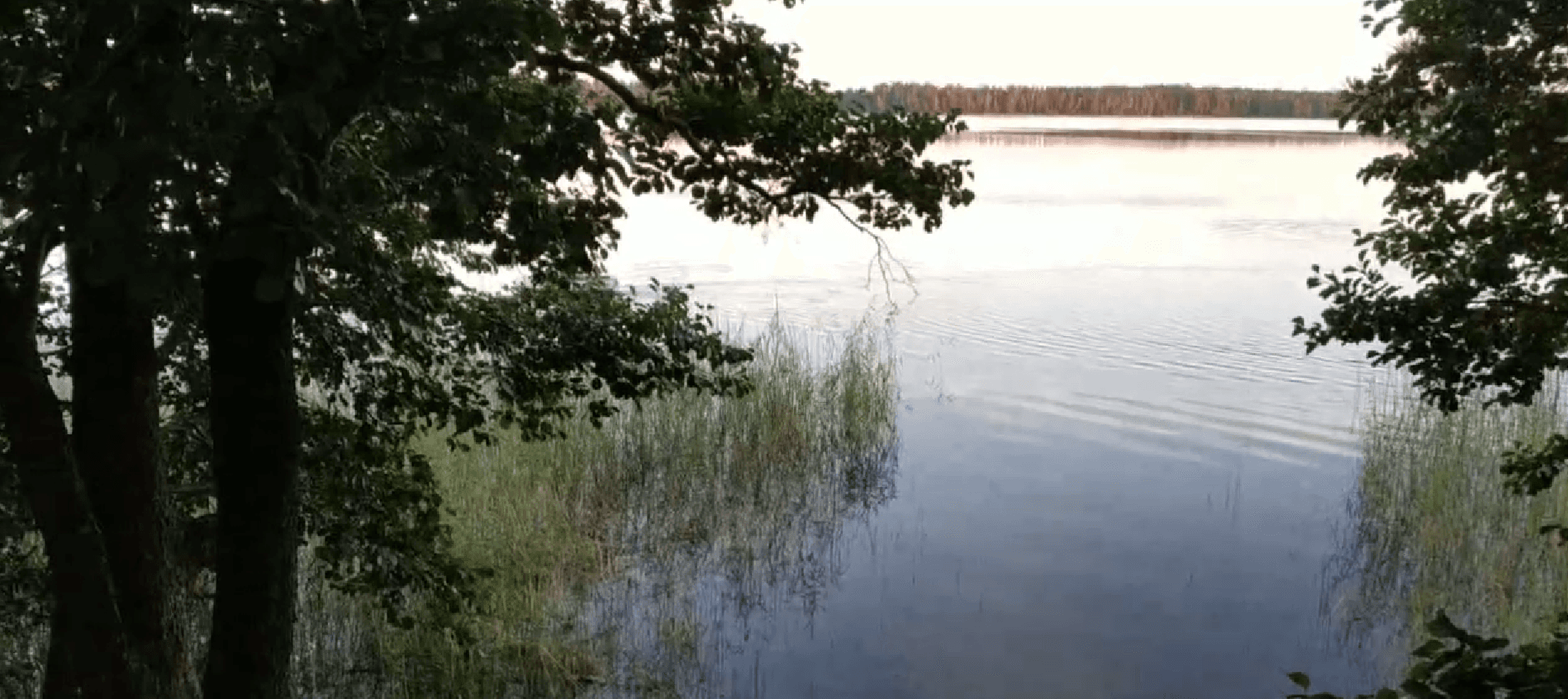 Polotsk district. Vedeto Lake.