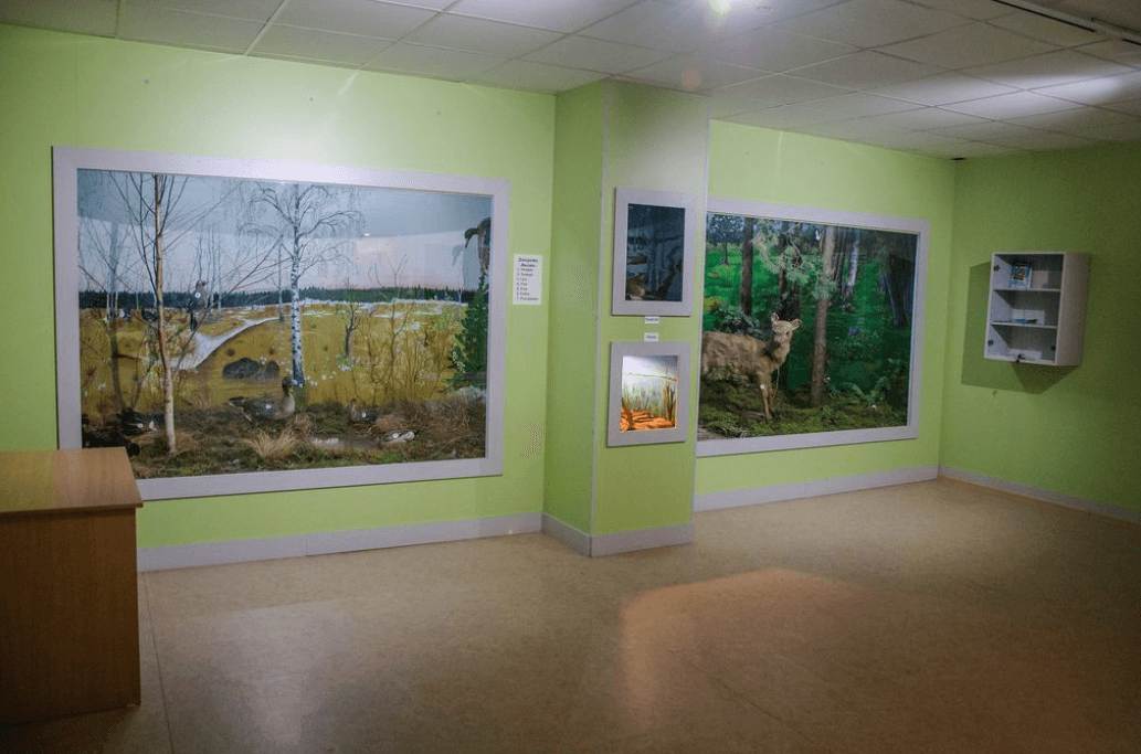 Хоцімск. Хоцімскі гісторыка-краязнаўчы музей.