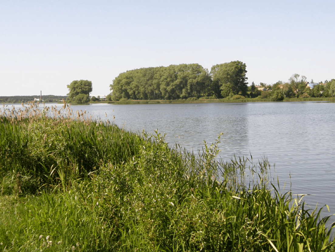 Глубокский район. Озеро Долгое.