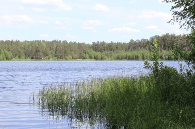 Люсино. Озеро Красное.