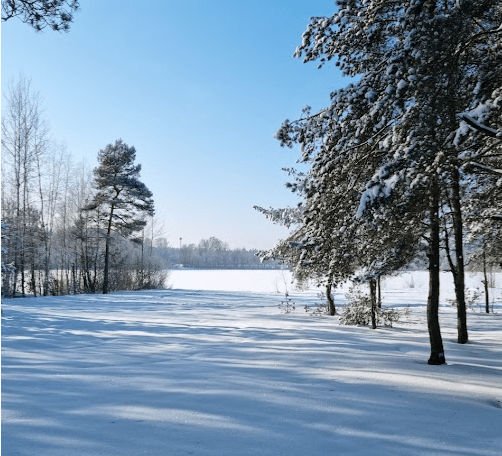 Люсино. Озеро Красное.