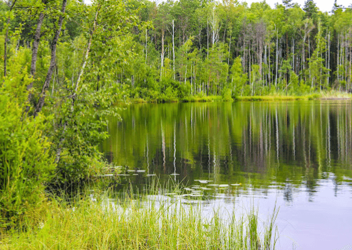 Люсино. Озеро Красное.