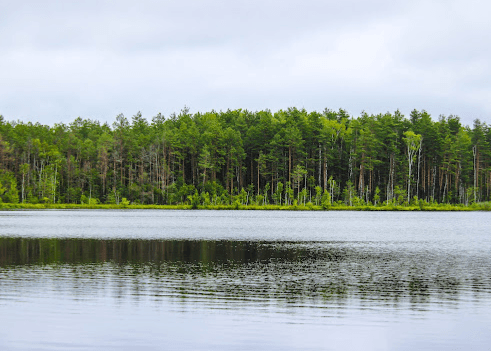 Люсино. Озеро Красное.