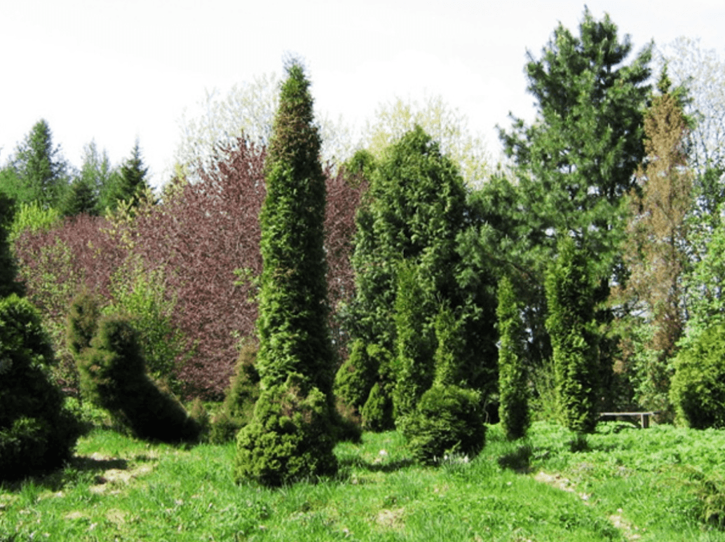 Brylevka. "Ivanov Khutor" Botanical Garden.