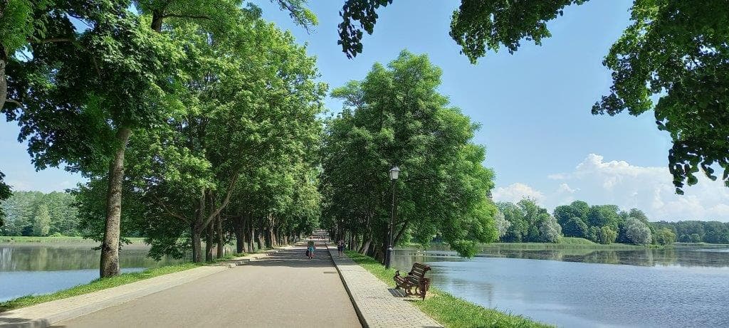 Нясвіж. Стары парк.