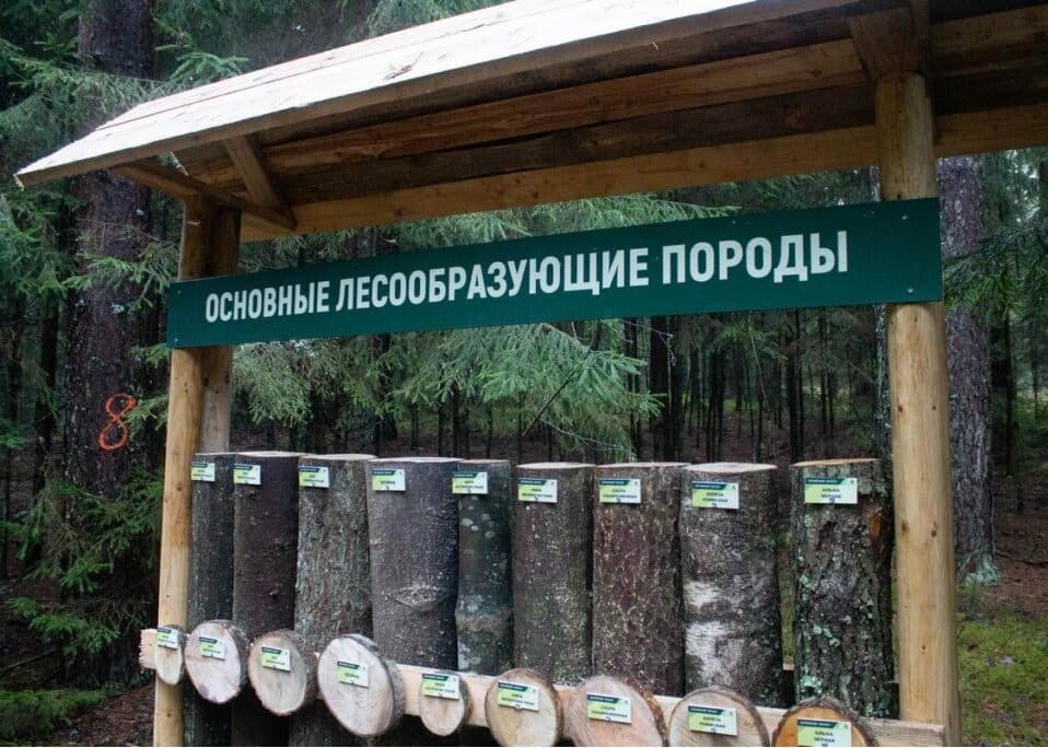 Экотропа «Погребищенские Родники».