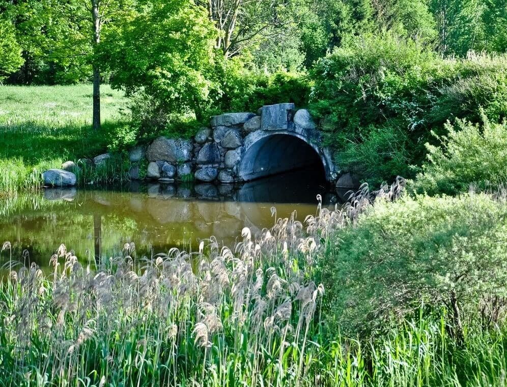 Нясвіж. Стары парк.