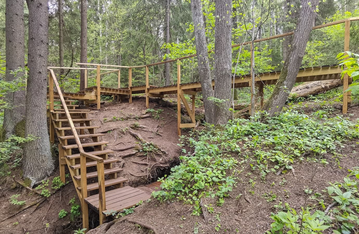 Ecological trail "Holy Springs".