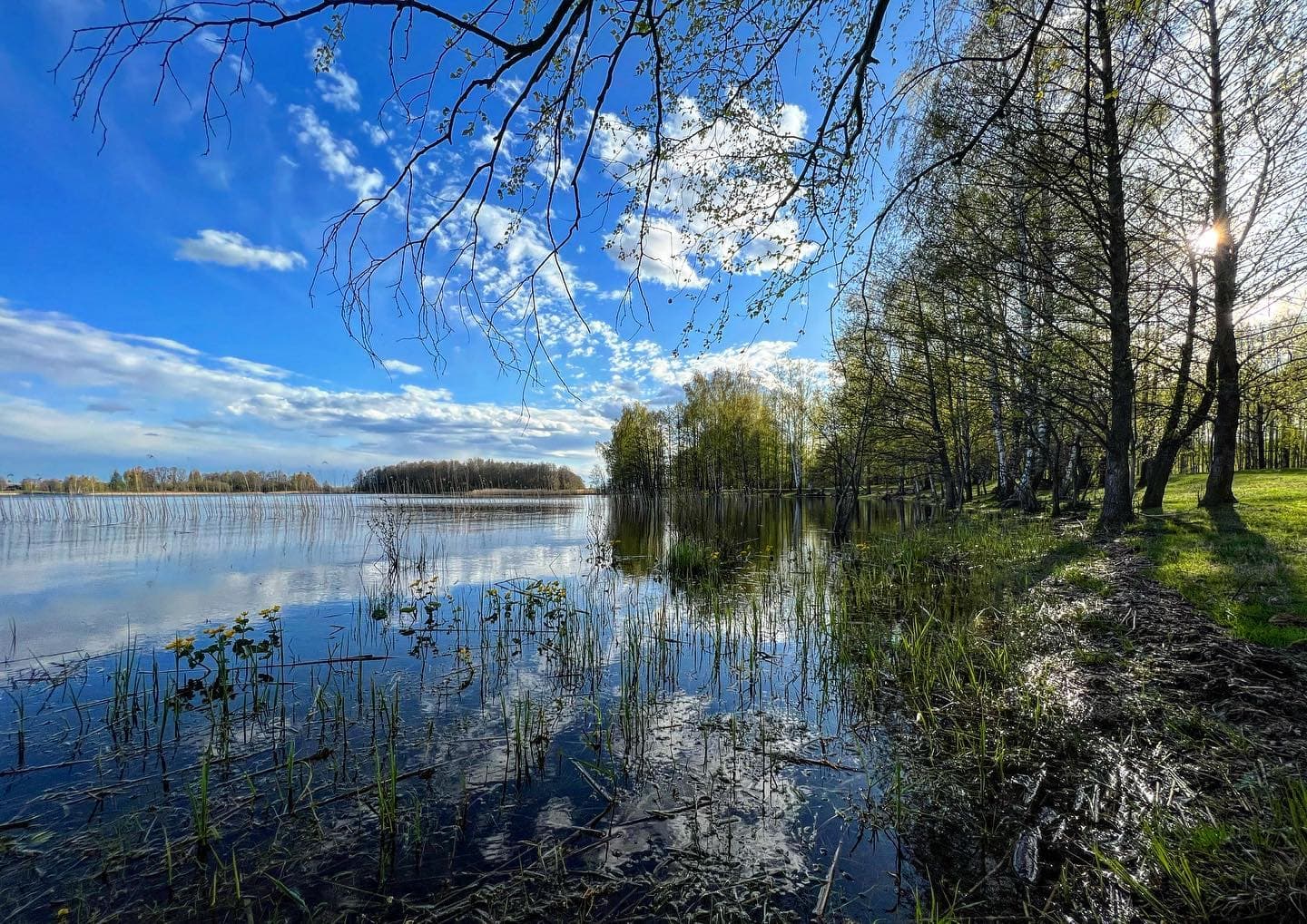 Braslav region. The Rustyagi Peninsula.