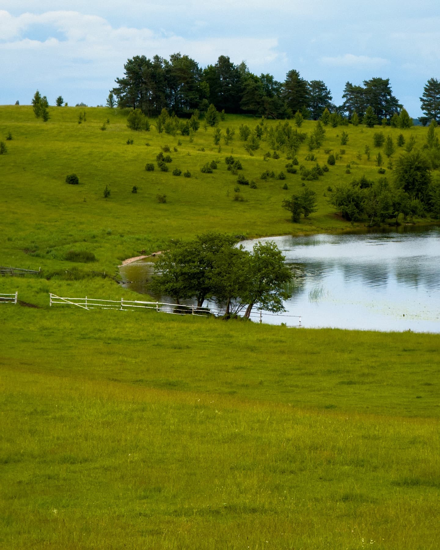 Braslav region. The Rustyagi Peninsula.