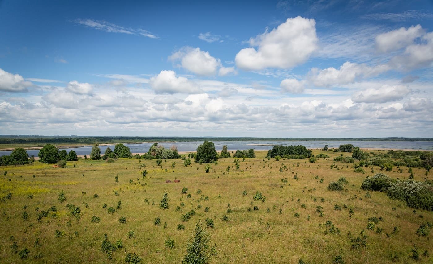 Ecological and local history trail "Mysterious Doo island".