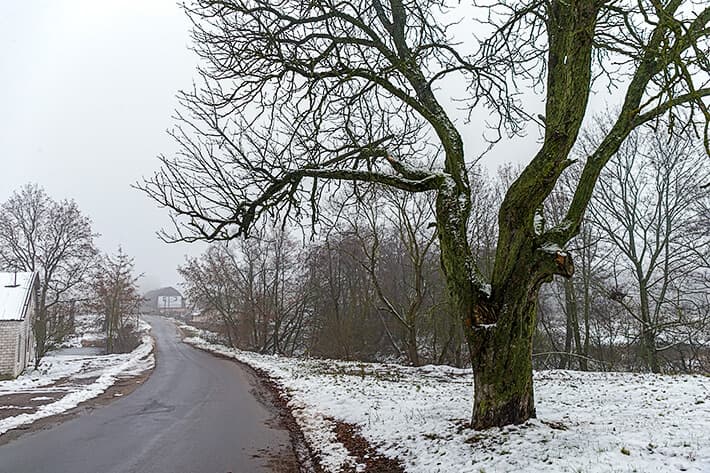 Самахвалавічы. Былая сядзіба Уніхоўскіх "Русінавічы".