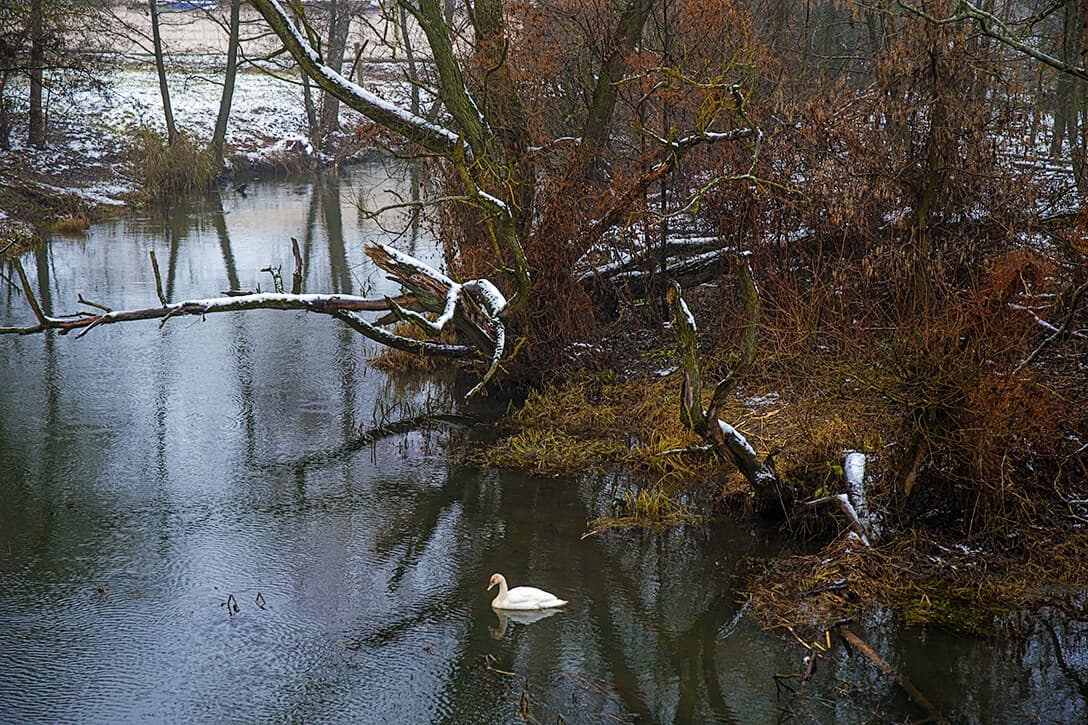 Самахвалавічы. Былая сядзіба Уніхоўскіх "Русінавічы".