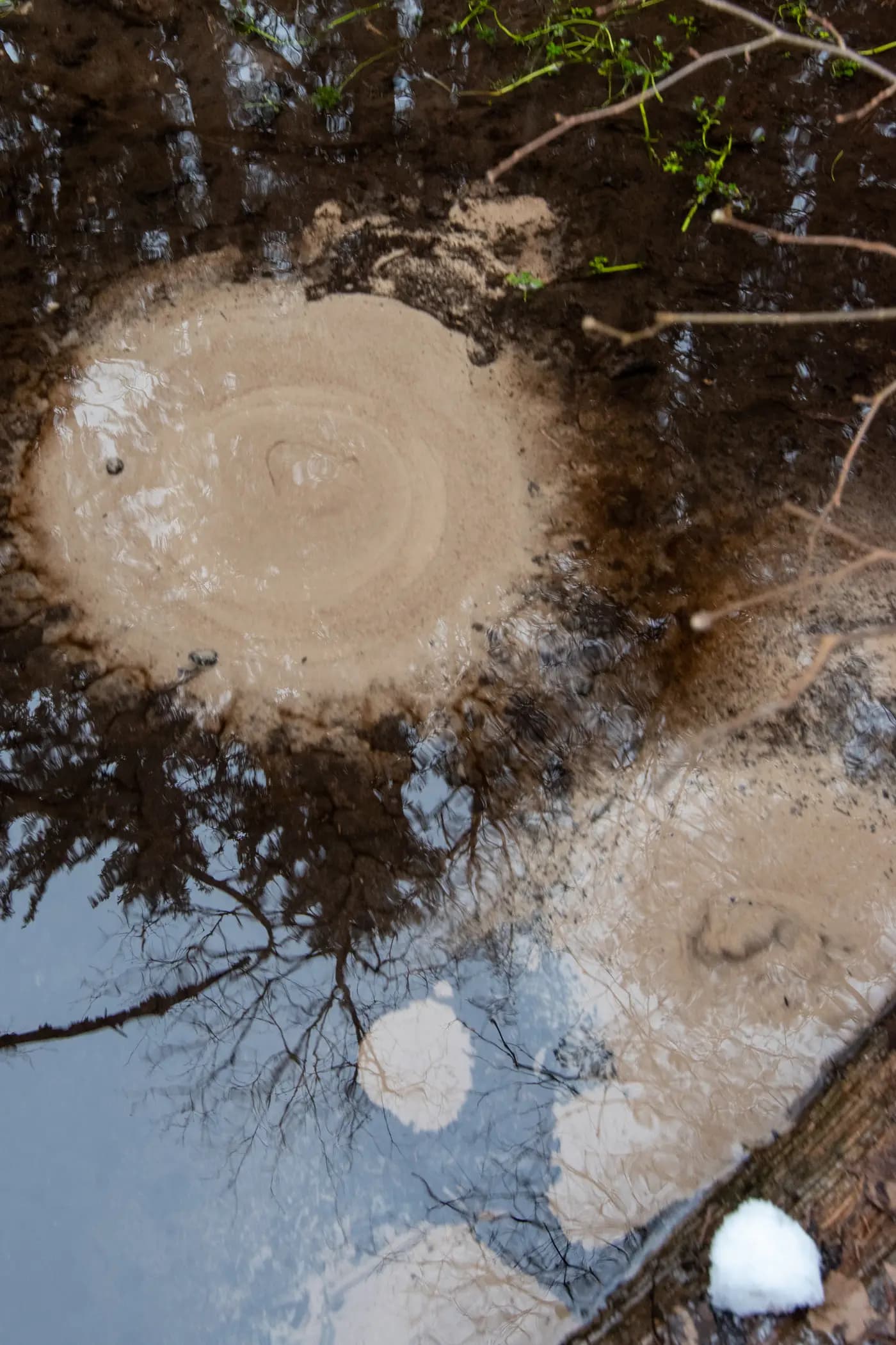 Вялікая Болцiкская крыніца.