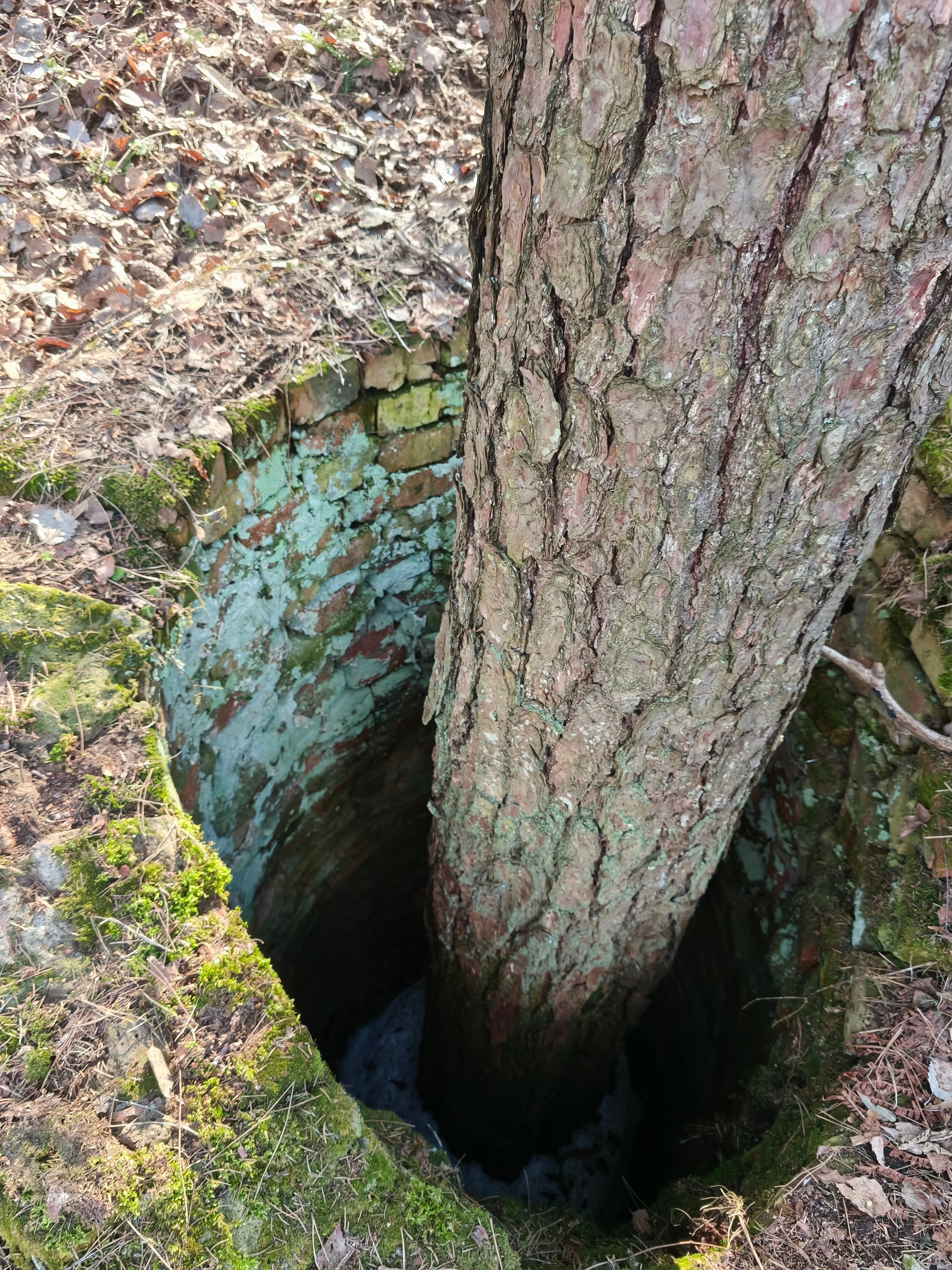 Быховский район. Бывшее хранилище ядерного оружия.