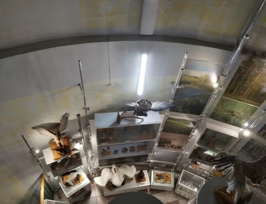 Природно-экологический музей Полоцк