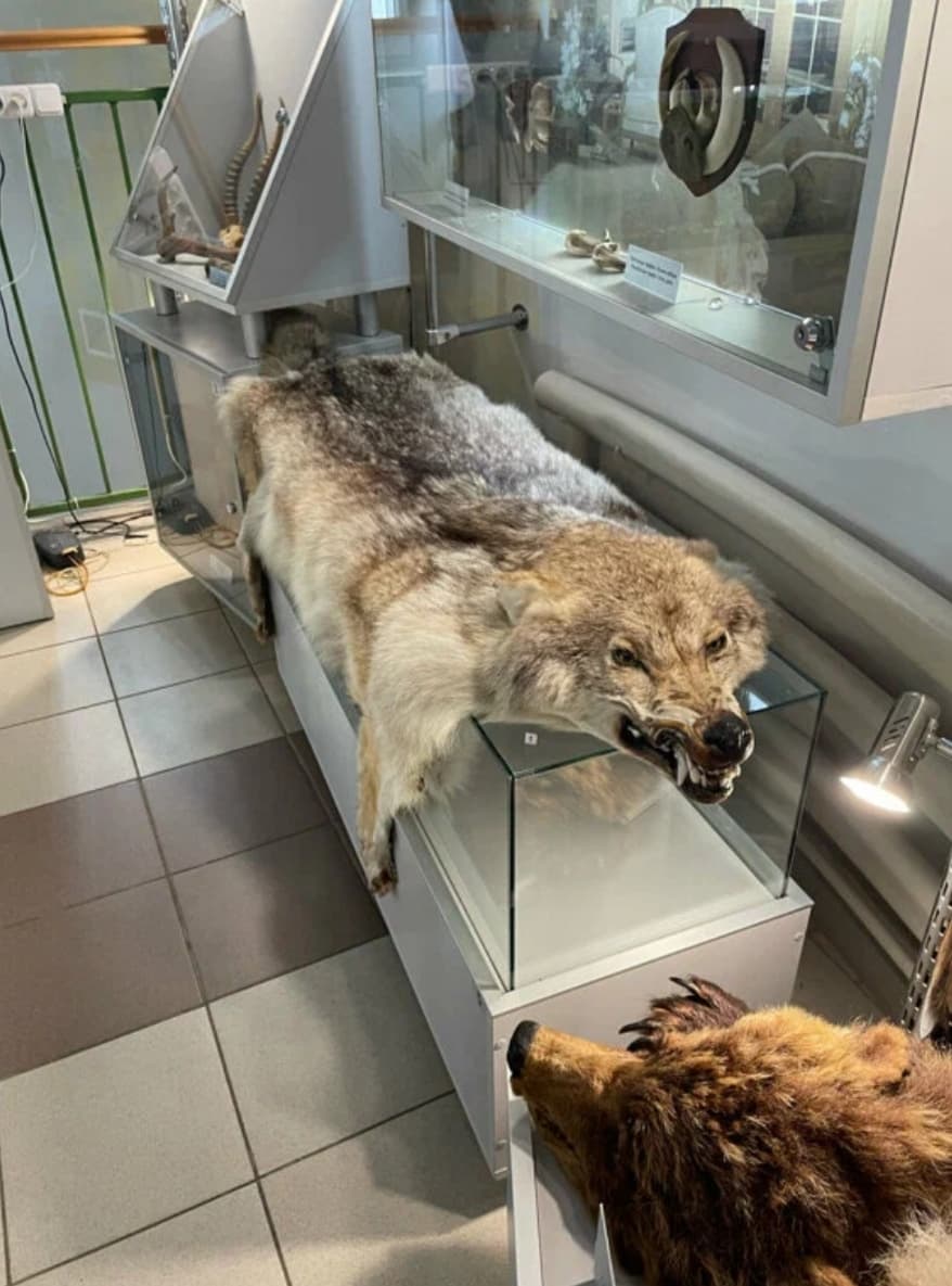 Природно-экологический музей Полоцк