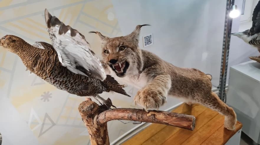 Природно-экологический музей Полоцк