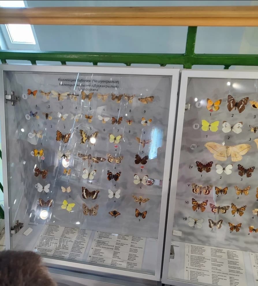 Природно-экологический музей Полоцк