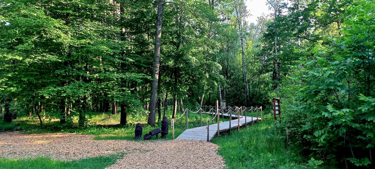 Калинковичи. Экологическая "Тропа лесных чудес".