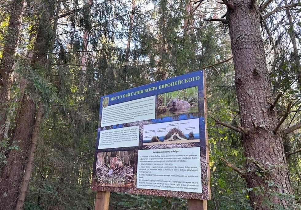 Ecological trail "Holy Springs".