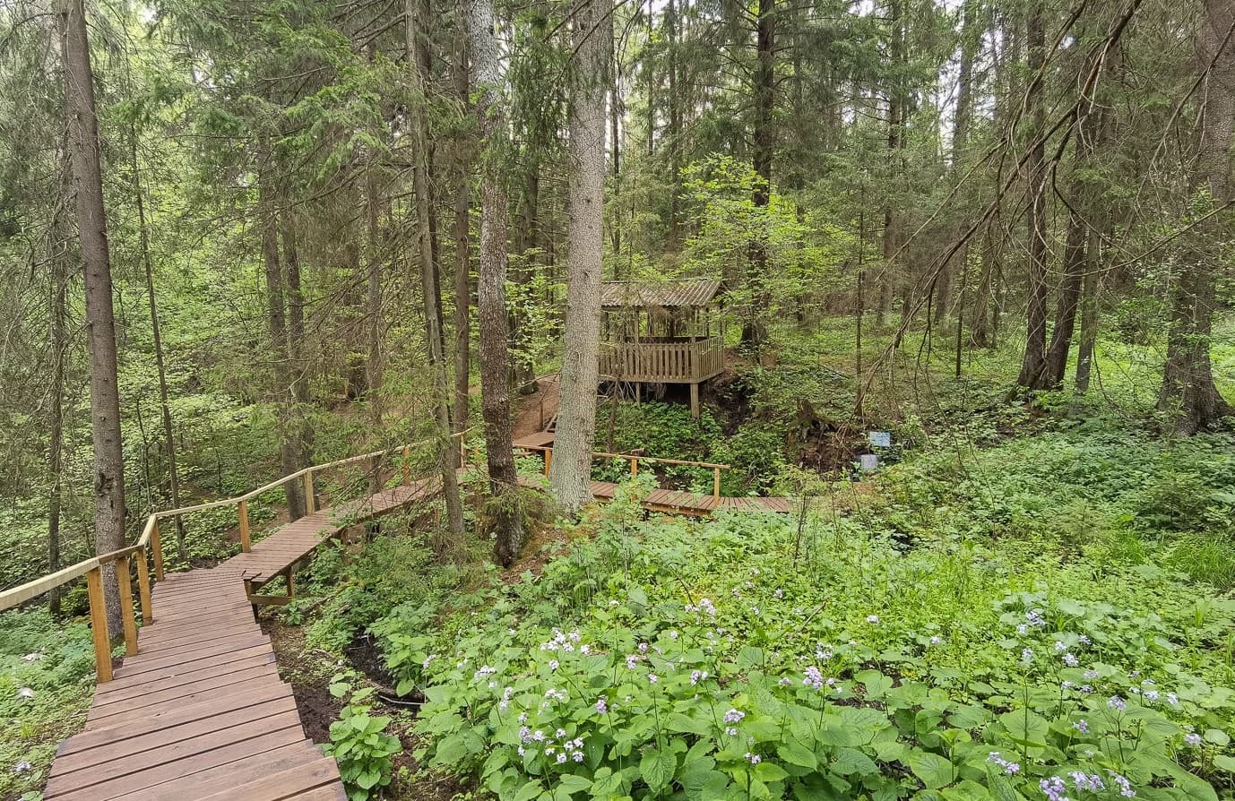 Ecological trail "Holy Springs".