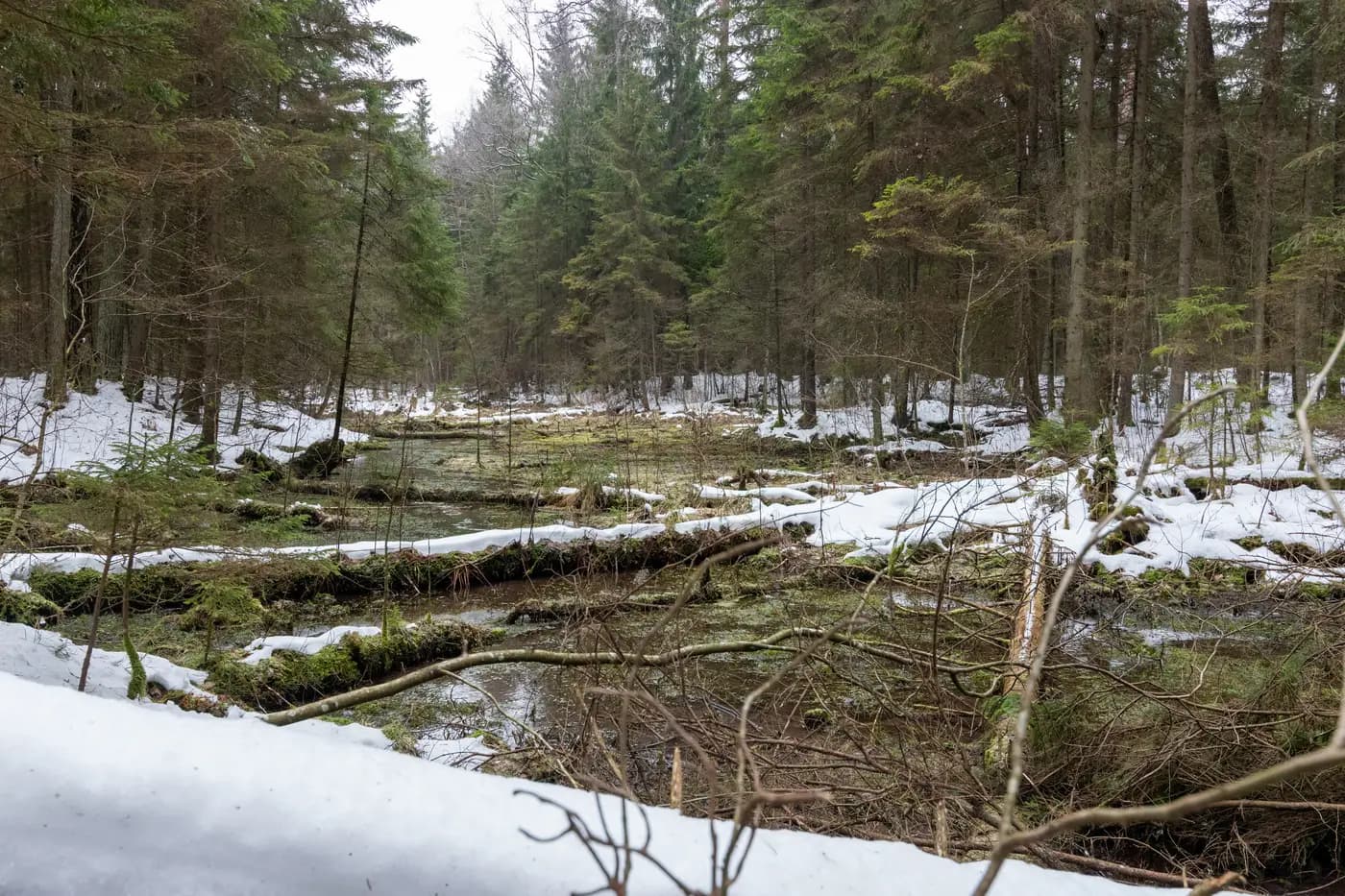 Вялікая Болцiкская крыніца.