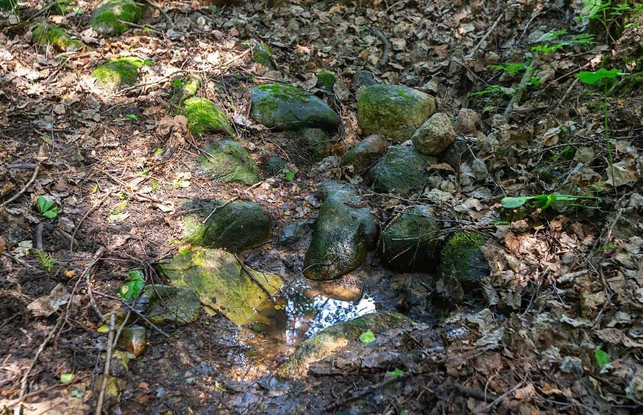 The source of the Neman River.