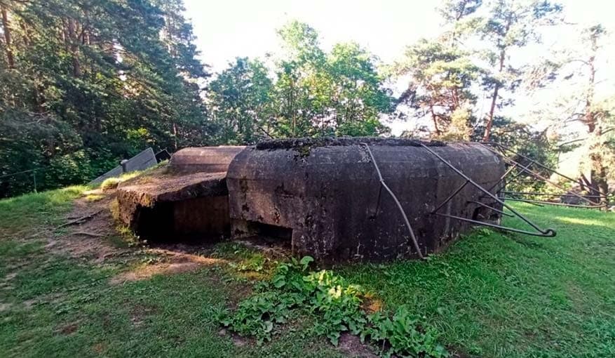Zaslavl. Ecotrope "Secrets of the forest".