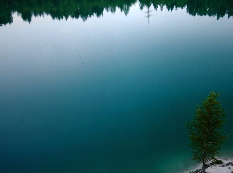 Меловые карьеры около деревни Пышки.