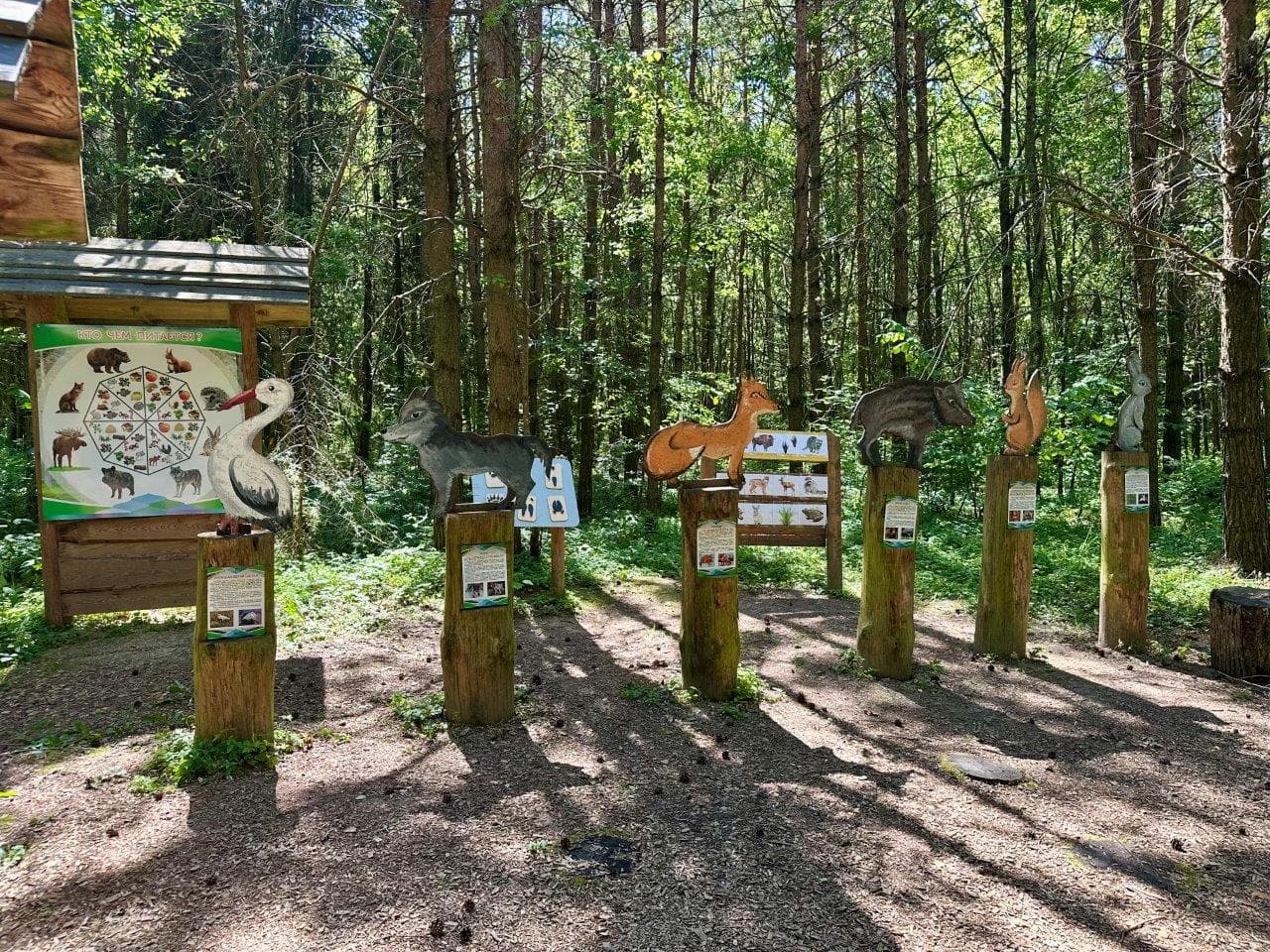 Несвиж. Экотропа «Волшебный мир Завитанского леса».