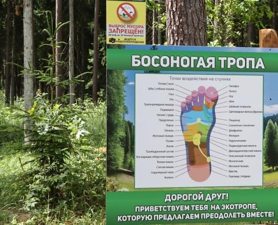 Ecotrope "Batskavy scyazhynki" (Father's paths).