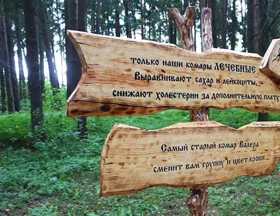 Ecotrope "Batskavy scyazhynki" (Father's paths).