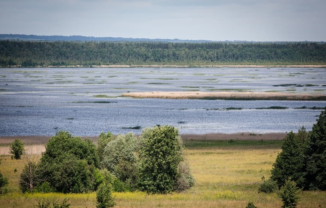 Ecological and local history trail "Mysterious Doo island".