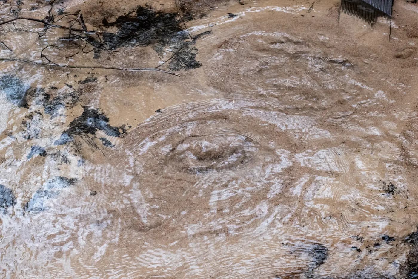 Вялікая Болцiкская крыніца.