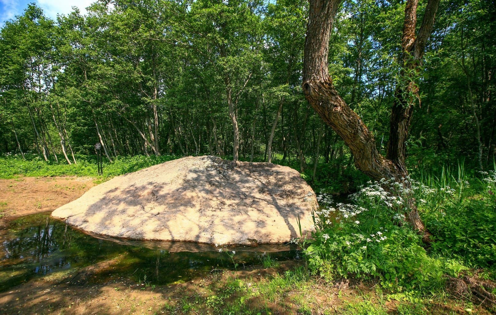 Вароніна. Чортаў Камень.