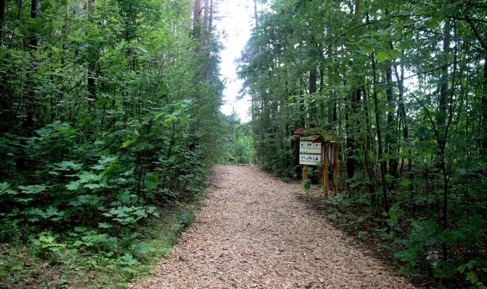 Zaslavl. Ecotrope "Secrets of the forest".